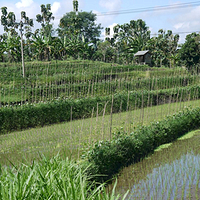 Photo de Bali - Banjar et Gitgit